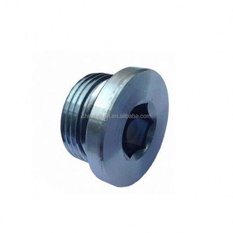 Bsp Male Captive Sealed Hollow Hex Plug (4BN-WD)